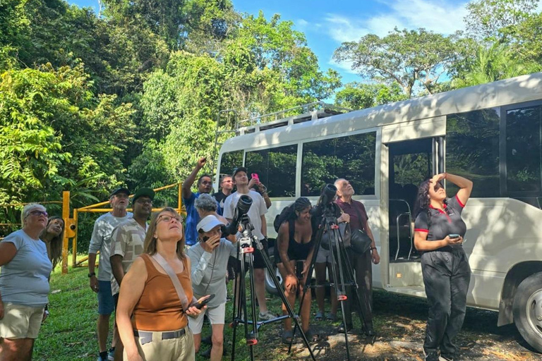 Panama: Tour dell'habitat della giungla delle scimmie e dei bradipi a Panama