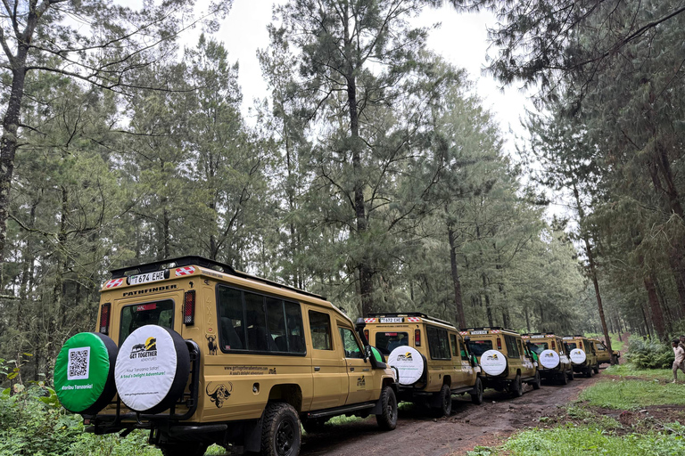 Zanzibar: 9-Day Spice Island & Safari Journey