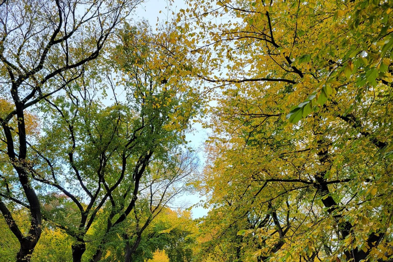 Begeleide luxe fietstocht in Central ParkRondleiding met deluxe fietstaxi in Central Park