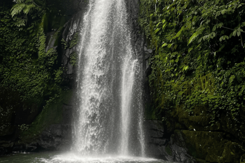Bali: Hidden And New Secret Waterfalls All Including