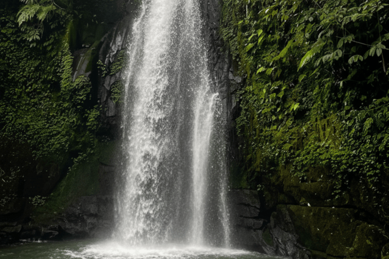 Bali: Hidden And New Secret Waterfalls All Including