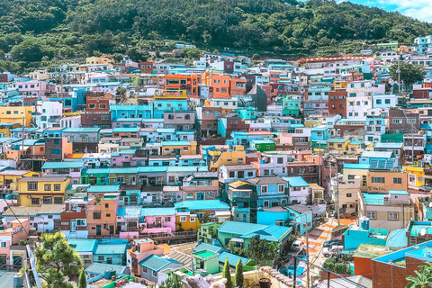 Busan Day Tour from Daegu:6 Highlights with Gamcheon Village Daegu ➔ Daegu Drop-off
