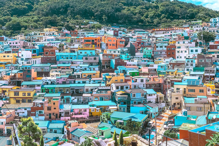 Busan Day Tour from Daegu:6 Highlights with Gamcheon Village Daegu ➔ Daegu Drop-off