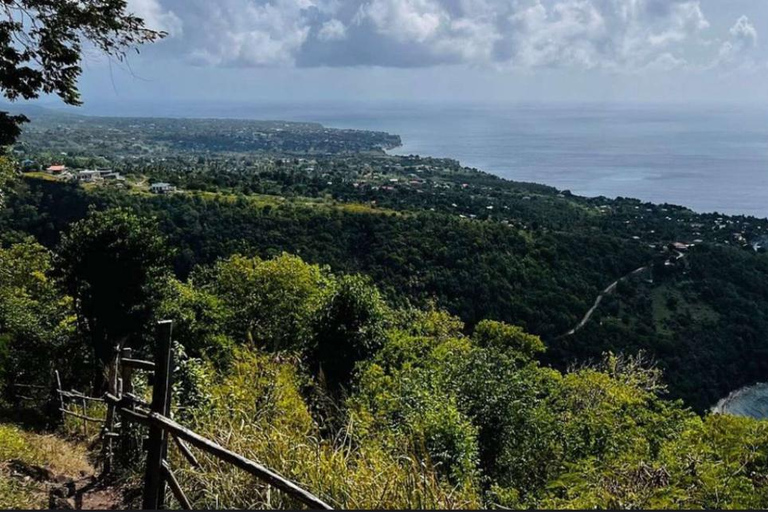 Gros Piton Adventure with Tour For The Day