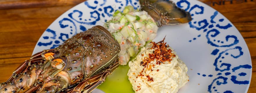 Santa Teresa : tour en bateau avec plongée avec tuba et déjeuner gastronomique