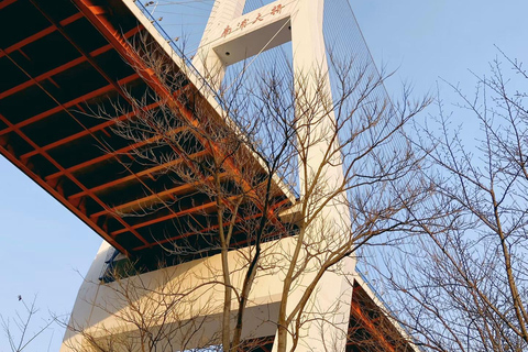 جولة دراجات/جولة في مدينة شنغهاي في نيو بوند وتجربة الحياة المحلية