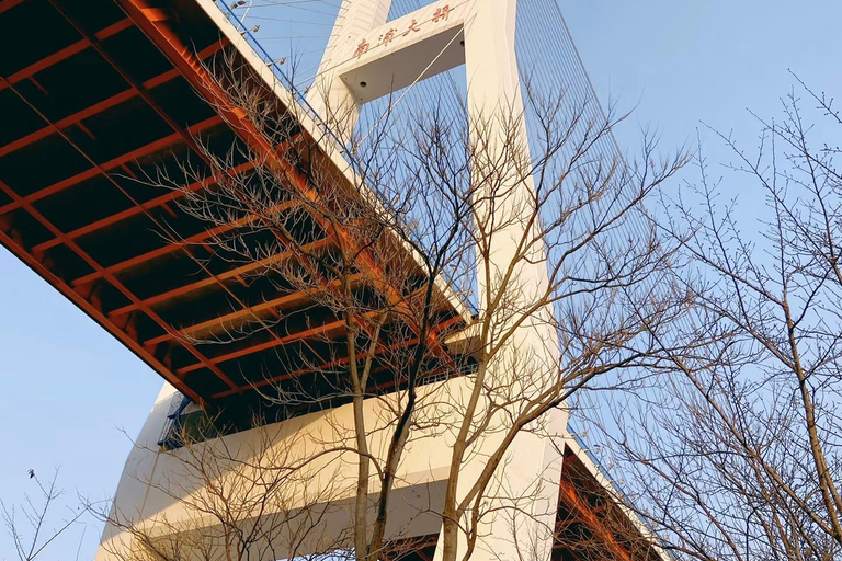 جولة دراجات/جولة في مدينة شنغهاي في نيو بوند وتجربة الحياة المحلية