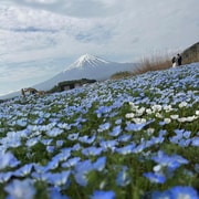 From Shimizu: Mount Fuji Private Tour with Guide & Pickup