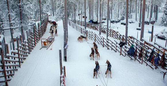 Rovaniemi: Reindeer & Husky Ride with Santa Claus Village