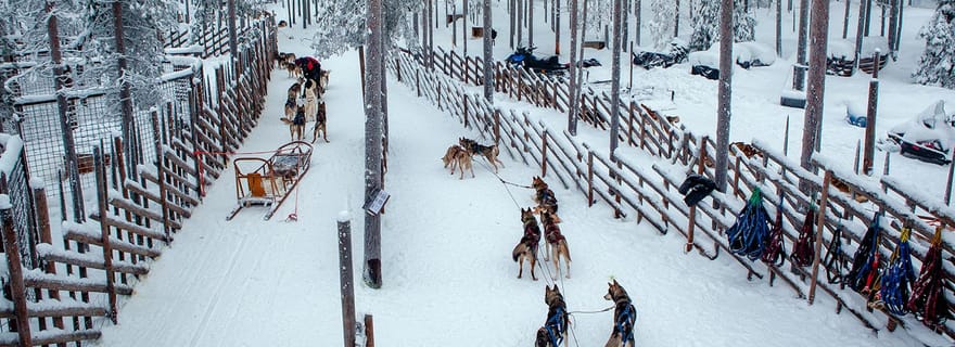 Rovaniemi : balade en traîneau tiré par des rennes et des huskies avec le village du Père Noël