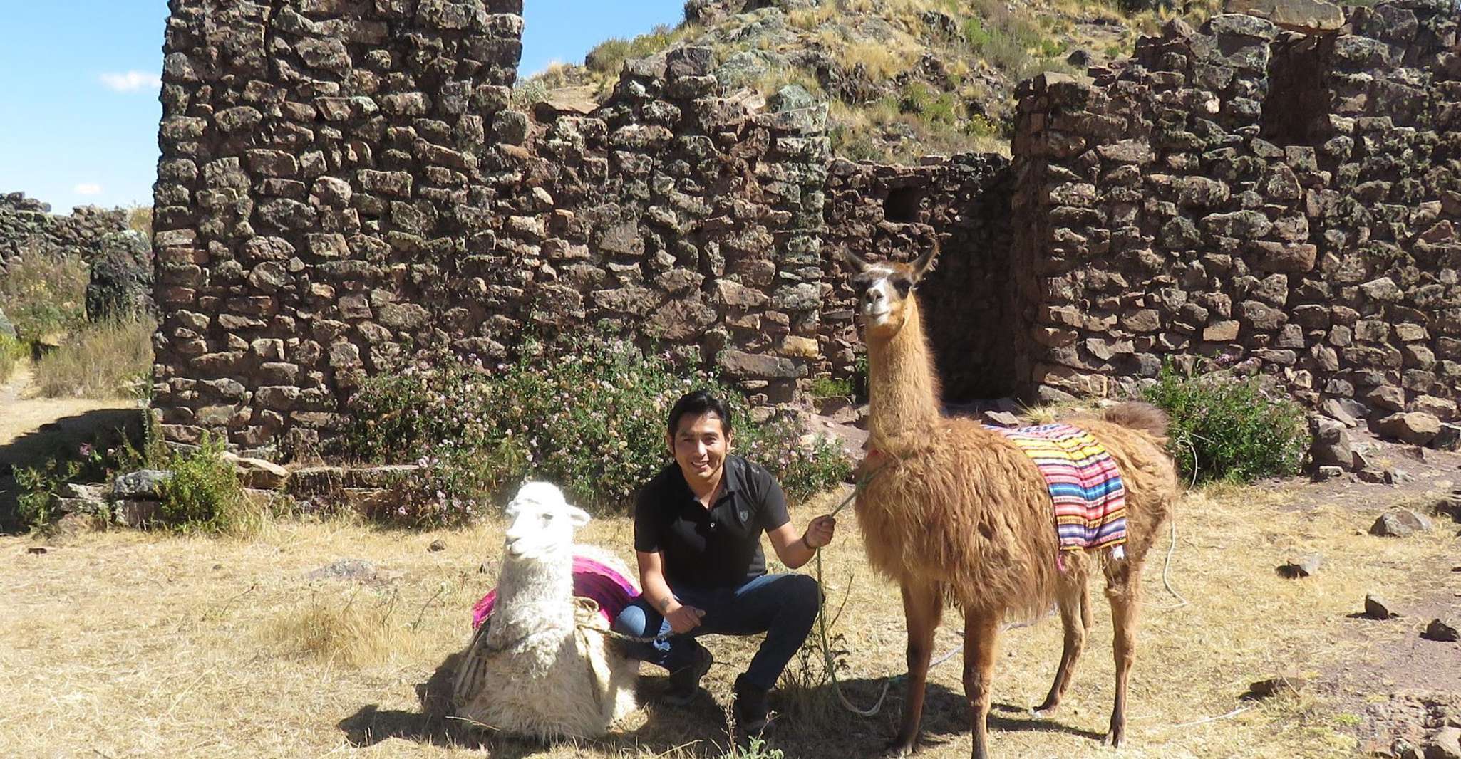 Alpaca therapy and healing with clay