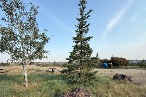 Calgary: Drumheller Day Trip with Royal Tyrrell Museum Entry