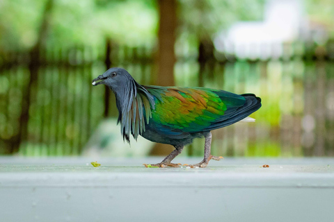 Phuket: Excursión a las Islas Similan en Catamarán Premium Speed