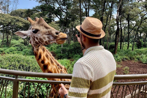 Nairobi: Giraffe Center Day Trip