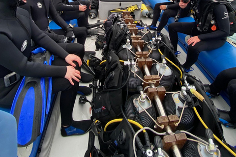 Kapstaden; SCUBA-dykning i Kelp Forest