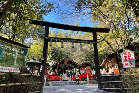 Kyotos höjdpunkter: Höjdpunkter i Arashiyama på 2 timmar - Guidad tur