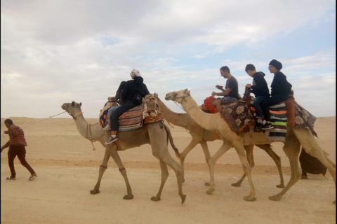 From Cairo: 4x4 Desert Safari, Waterfalls & Magic Lake Shared Tour: Wadi El Rayan, Magic Lake & Lake Qarun, Jeep