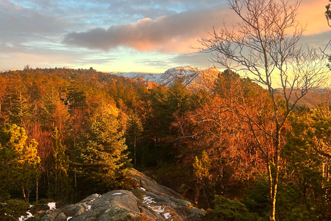 Bergen: Guided Nature Walk with Optional Floating Sauna Espanol
