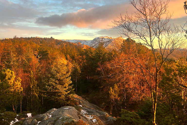 Bergen: Guided Nature Walk with Optional Floating Sauna Espanol