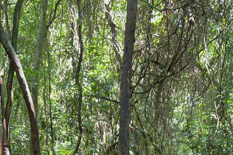 Black Virgin Mountain,Cu Chi Tunnels, Cao Dai By Motorbike