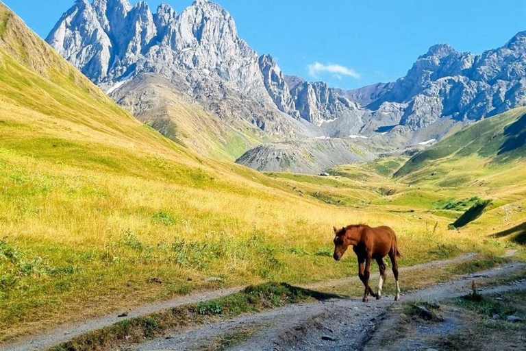 Tbilisi: Kazbegi & Gudauri Hidden Mountains Experience