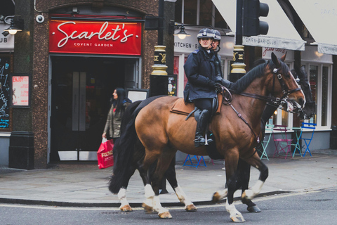 London: Premium 20+ Sights Tour with Expert Local Guide