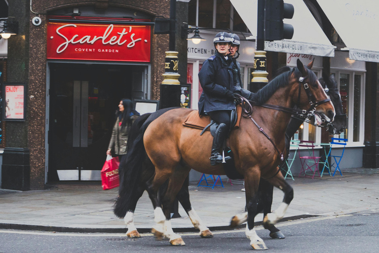 London: Premium 20+ Sights Tour with Expert Local Guide