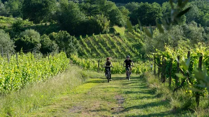 MONTECATINI TERME: E-BIKE TOUR MIT WEINVERKOSTUNG