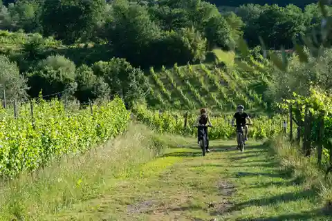 DA MONTECATINI TERME: TOUR IN E-BIKE CON DEGUSTAZIONE DI VINI