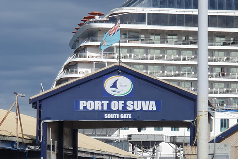 Suva: Taunovo Beach Day Trip with Roundtrip Transfer