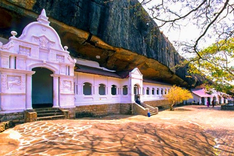 Kolombo: Skała Sigiriya / Dambulla i safari w parku Minneriya