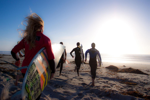 Surfkurs - Perfekte Welle für Anfänger und Fortgeschrittene Surfer