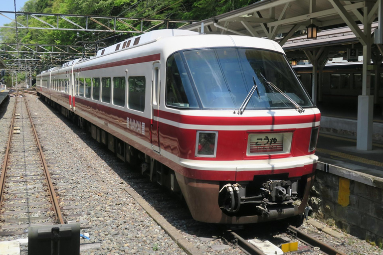 Z Osaki: prywatna wycieczka 1-dniowa z przewodnikiem do Koyasan (miejsce wpisane na listę UNESCO)