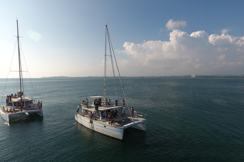 Colombo Tour - obserwacja delfinów podczas luksusowego rejsu i wycieczka po mieścieColombo Dolphin Watching podczas luksusowego rejsu wycieczkowego i zwiedzania miasta