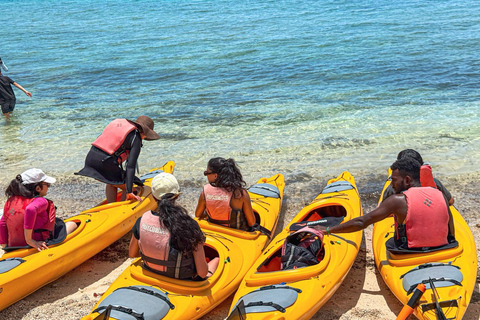 Port Vila: Harbour Kayak Tour with Guide
