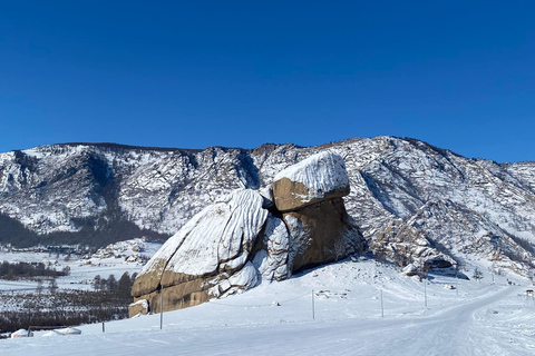 Excursion d&#039;une journée en Mongolie hivernale