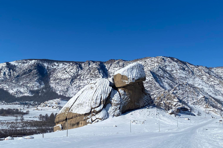 Tagestour Wintermongolei