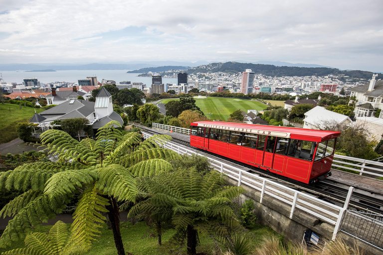 Wellington icons tour