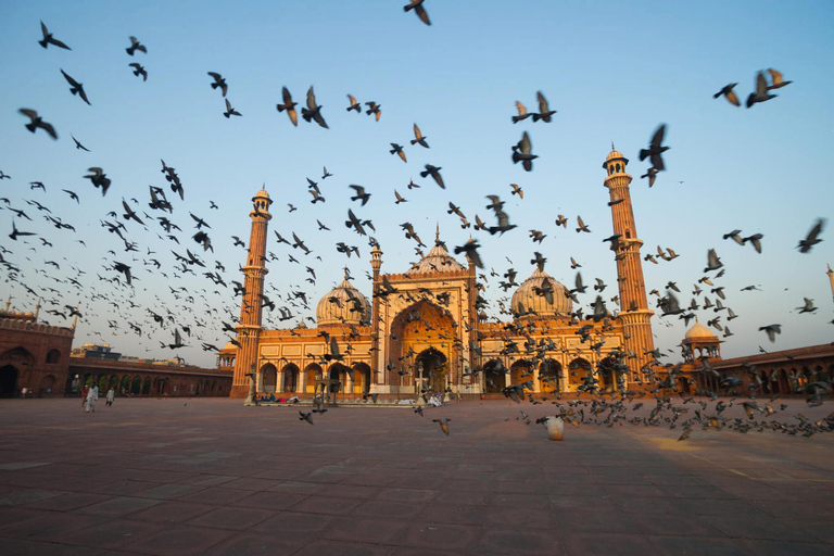 From Delhi: 4 Days Guided Tour to Agra, Ranthambore & Jaipur Tour without Hotel accomodatoin