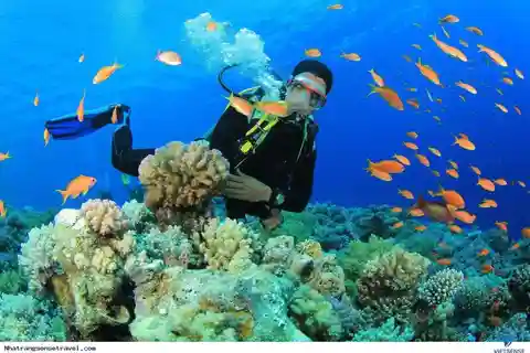 NHA TRANG 3 ISLAND VIP TOUR