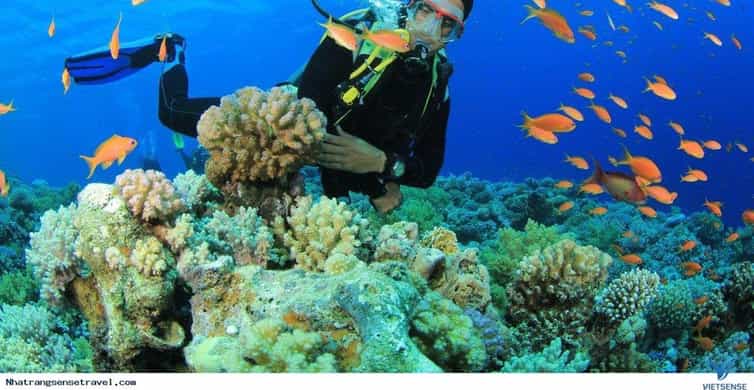 NHA TRANG 3 ISLAND VIP TOUR
