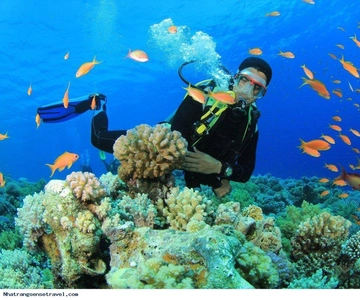 NHA TRANG 3 ISLAND VIP TOUR