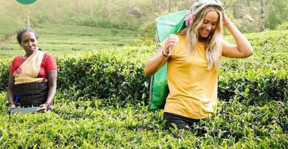 Kandy: Nuwara Eliya Tag Erkundung mit Tuk Tuk und ortskundigem Guide