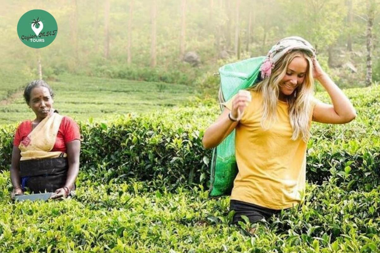 Kandy: Nuwara Eliya Tag Erkundung per Tuk Tuk mit ortskundigem Guide