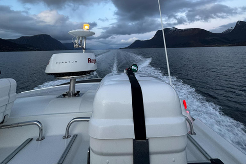 Bergen: Sea Safari with fishing and hauling of crab pots