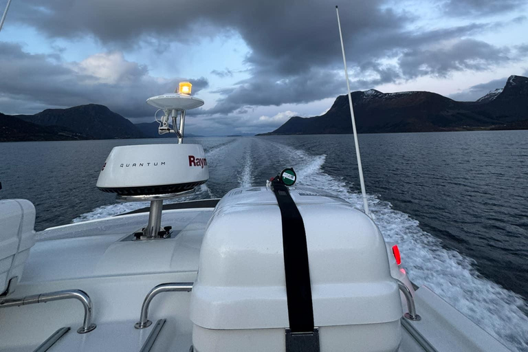 Bergen: Sea Safari with fishing and hauling of crab pots