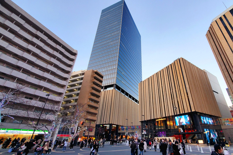 Tokyo : Visite d'une jounée privée avec chauffeur anglaisVisite d'une jounée privée personnalisée à Tokyo avec chauffeur anglais