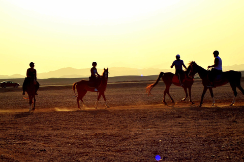 Marsa Alam: Passeio a cavalo pelo mar e pelo deserto