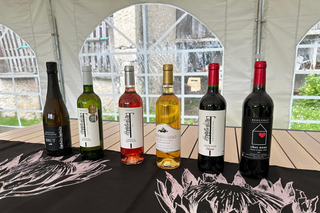 Bergerac: Wine Tasting at Chateau Lestevenie
