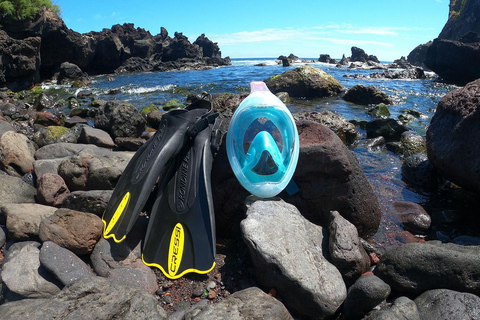 Faial: Stand-Up Paddle Board Rental Faial: Stand-Up Paddle Board and Snorkeling Rental